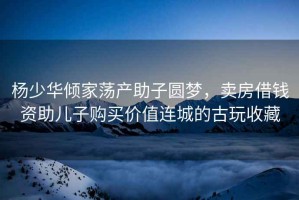 楊少華傾家蕩產助子圓夢，賣房借錢資助兒子購買價值連城的古玩收藏