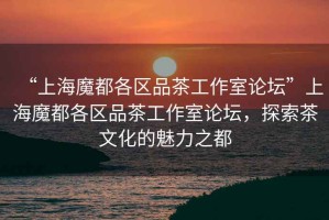 “上海魔都各區品茶工作室論壇”上海魔都各區品茶工作室論壇，探索茶文化的魅力之都