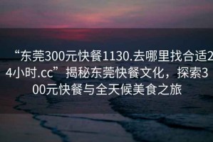 “東莞300元快餐1130.去哪里找合適24小時.cc”揭秘東莞快餐文化，探索300元快餐與全天候美食之旅