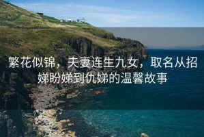 繁花似錦，夫妻連生九女，取名從招娣盼娣到仇娣的溫馨故事