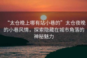 “太倉晚上哪有站小巷的”太倉夜晚的小巷風(fēng)情，探索隱藏在城市角落的神秘魅力