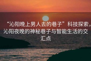 “沁陽(yáng)晚上男人去的巷子”科技探索，沁陽(yáng)夜晚的神秘巷子與智能生活的交匯點(diǎn)