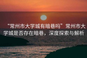 “常州市大學城有暗巷嗎”常州市大學城是否存在暗巷，深度探索與解析
