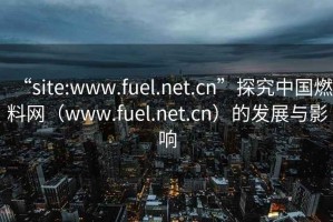 “site:www.fuel.net.cn”探究中國燃料網（www.fuel.net.cn）的發展與影響