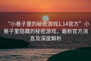“小巷子里的秘密游戲1.14官方”小巷子里隱藏的秘密游戲，最新官方消息及深度解析