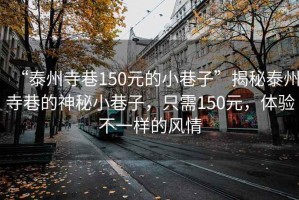 “泰州寺巷150元的小巷子”揭秘泰州寺巷的神秘小巷子，只需150元，體驗(yàn)不一樣的風(fēng)情