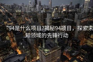 “94是什么項目?揭秘94項目，探索未知領域的先鋒行動