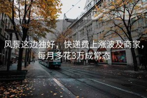 風景這邊獨好，快遞費上漲波及商家，每月多花3萬成常態