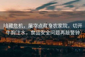 暗藏危機(jī)，屠宰點(diǎn)藏身農(nóng)家院，切開(kāi)牛胸注水，食品安全問(wèn)題再敲警鐘