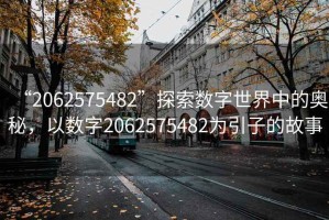 “2062575482”探索數字世界中的奧秘，以數字2062575482為引子的故事