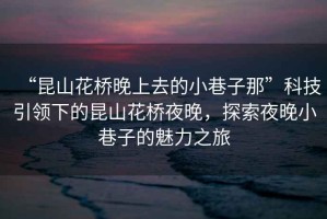 “昆山花橋晚上去的小巷子那”科技引領(lǐng)下的昆山花橋夜晚，探索夜晚小巷子的魅力之旅