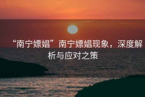 “南寧嫖娼”南寧嫖娼現象，深度解析與應對之策