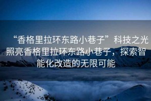 “香格里拉環東路小巷子”科技之光照亮香格里拉環東路小巷子，探索智能化改造的無限可能