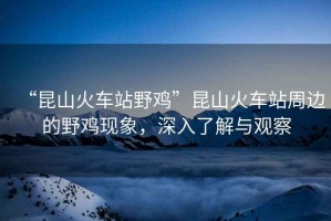 “昆山火車站野雞”昆山火車站周邊的野雞現(xiàn)象，深入了解與觀察