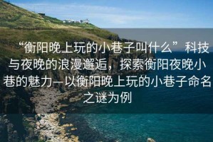 “衡陽晚上玩的小巷子叫什么”科技與夜晚的浪漫邂逅，探索衡陽夜晚小巷的魅力—以衡陽晚上玩的小巷子命名之謎為例