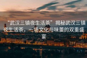 “武漢三鎮夜生活茶”揭秘武漢三鎮夜生活茶，一場文化與味蕾的雙重盛宴