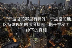 “寧波駱駝哪里有特殊”寧波駱駝地區特殊現象的深度探索—揭開神秘面紗下的真相