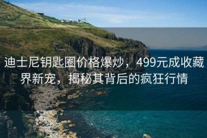 迪士尼鑰匙圈價格爆炒，499元成收藏界新寵，揭秘其背后的瘋狂行情