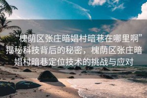 “槐蔭區(qū)張莊暗娼村暗巷在哪里啊”揭秘科技背后的秘密，槐蔭區(qū)張莊暗娼村暗巷定位技術(shù)的挑戰(zhàn)與應(yīng)對