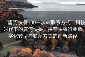 “唐河快餐100一次vx聯(lián)系方式”科技時代下的唐河快餐，探索快餐行業(yè)數(shù)字化轉(zhuǎn)型與聯(lián)系方式的創(chuàng)新路徑
