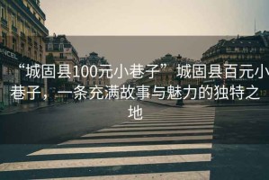 “城固縣100元小巷子”城固縣百元小巷子，一條充滿故事與魅力的獨(dú)特之地