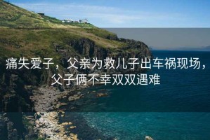 痛失愛(ài)子，父親為救兒子出車禍現(xiàn)場(chǎng)，父子倆不幸雙雙遇難