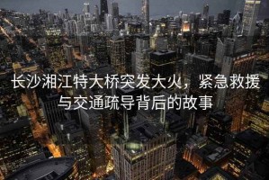 長沙湘江特大橋突發(fā)大火，緊急救援與交通疏導背后的故事