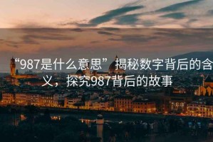 “987是什么意思”揭秘數字背后的含義，探究987背后的故事