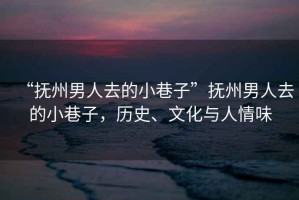 “撫州男人去的小巷子”撫州男人去的小巷子，歷史、文化與人情味