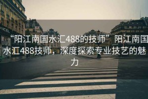 “陽(yáng)江南國(guó)水匯488的技師”陽(yáng)江南國(guó)水匯488技師，深度探索專(zhuān)業(yè)技藝的魅力