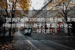 “龍崗坪地有100塊的小巷子嗎”龍崗坪地驚現神秘小巷子，數量達百塊之多？一探究竟！