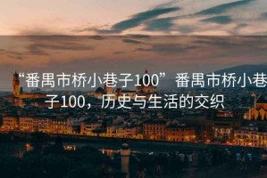 “番禺市橋小巷子100”番禺市橋小巷子100，歷史與生活的交織