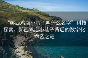 “鄖西雞店小巷子叫什么名字”科技探索，鄖西雞店小巷子背后的數字化命名之謎