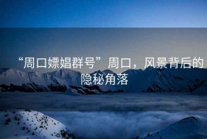 “周口嫖娼群號(hào)”周口，風(fēng)景背后的隱秘角落