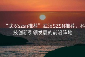 “武漢szsn推薦”武漢SZSN推薦，科技創新引領發展的前沿陣地
