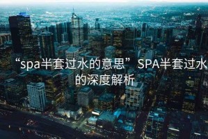 “spa半套過水的意思”SPA半套過水的深度解析