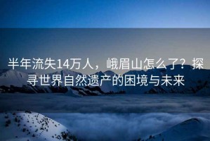 半年流失14萬人，峨眉山怎么了？探尋世界自然遺產的困境與未來