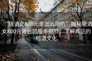 “陪酒女800元是怎么陪的”揭秘陪酒女800元背后的服務細節，了解真正的陪酒文化