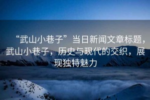 “武山小巷子”當日新聞文章標題，武山小巷子，歷史與現(xiàn)代的交織，展現(xiàn)獨特魅力