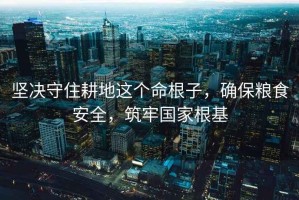 堅決守住耕地這個命根子，確保糧食安全，筑牢國家根基