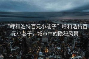 “呼和浩特百元小巷子”呼和浩特百元小巷子，城市中的隱秘風景