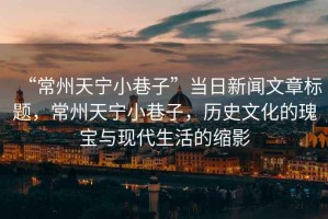 “常州天寧小巷子”當日新聞文章標題，常州天寧小巷子，歷史文化的瑰寶與現代生活的縮影