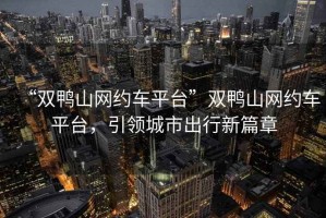 “雙鴨山網(wǎng)約車平臺”雙鴨山網(wǎng)約車平臺，引領(lǐng)城市出行新篇章