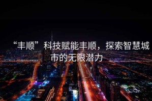 “豐順”科技賦能豐順，探索智慧城市的無(wú)限潛力