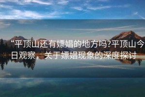 “平頂山還有嫖娼的地方嗎?平頂山今日觀察，關于嫖娼現象的深度探討