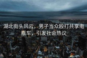 湖北街頭風云，男子當眾毆打共享電瓶車，引發社會熱議