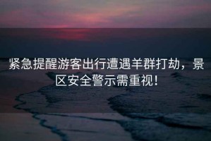 緊急提醒游客出行遭遇羊群打劫，景區(qū)安全警示需重視！