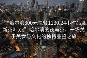 “哈爾濱300元快餐1130.24小時品鑒新茶葉.cc”哈爾濱的夜與茶，一場關于美食與文化的獨特品鑒之旅