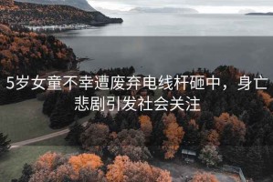 5歲女童不幸遭廢棄電線桿砸中，身亡悲劇引發社會關注