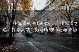 “廣州靠譜的95場98場”廣州靠譜之選，探索高端商務(wù)場所的95場與98場